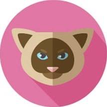 Cat Byte Icon