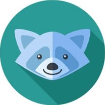 Racoon Byte Icon